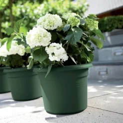 Elho Pflanztopf green basics grün D 24,9 H 18,5 cm