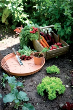 Elho Untersetzer green basics terracotta D 17 H 2,3 cm