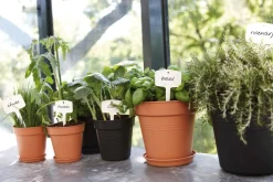 Elho Untersetzer green basics schwarz D 10 H 1,5 cm schwarz