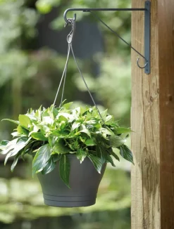 Elho Wandhaken Eleganz 30 cm anthrazit