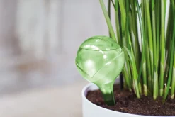 Elho Wasserspender Aqua Care grün 0,35 l