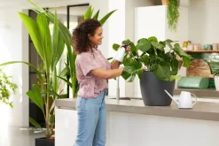 Elho Pflanzensprüher Brussels weiß 0,7 l 11,5 x 8,9 x 22,9 cm