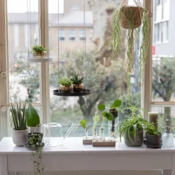 Esschert Design Gießkanne 1,5 l transparent