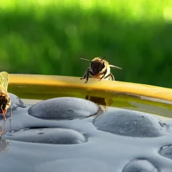 Esschert Design Trinkschale für Bienen und Schmetterlinge gelb D 27 H 8 cm