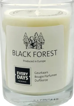 Everydays by Intratuin Duftkerze Black Forest weiß 43 Std. D 7,9 H 9,5 cm
