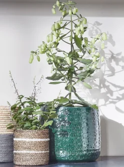 Everydays by Intratuin Pflanzkorb Celestial naturell / weiß D 6,5 H 6,5 cm