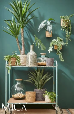 Everydays by Intratuin Pflanzkorb Atlantic Natur D 18 cm H 18 cm