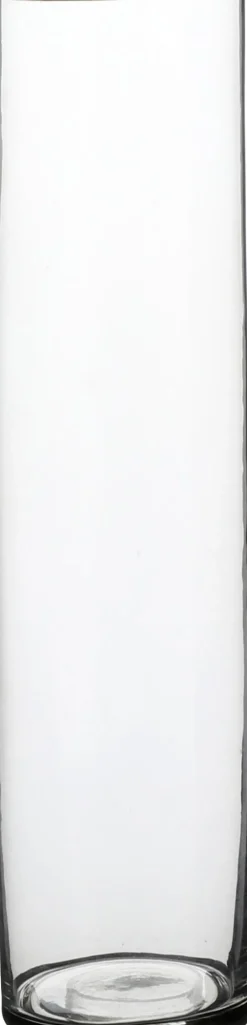 Everydays by Intratuin Vase Carly transparent D 9 cm H 40 cm