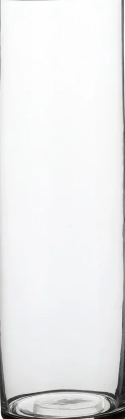 Everydays by Intratuin Vase Carly transparent D 9 cm H 30 cm