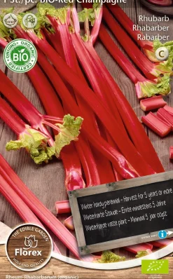 Florex Bio Rhabarber (Rheum 'Champagne') Samen