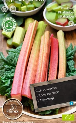 Florex Bio Rhabarber (Rheum 'Pink Green') Samen