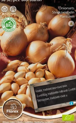 Florex Bio Steckzwiebeln (Allium 'Sturon') Samen 50 St.