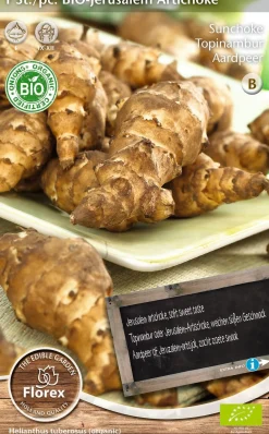 Florex Bio Topinambur (Helianthus 'Jerusalem') Samen