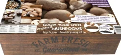 Florex Farm Fresh Kastanienchampignon Anzucht-Set