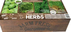 Florex Farm Fresh Küchenkräuter Anzucht-Set