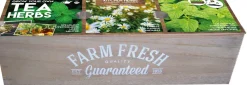 Florex Farm Fresh Teekräuter Anzucht-Set