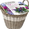 Florex Korb mit 50 Blumenzwiebeln (vorgepflanzt) weiß