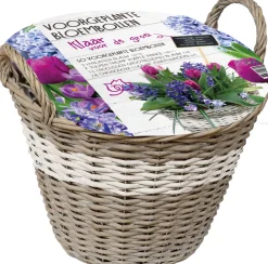 Florex Korb mit 50 Blumenzwiebeln (vorgepflanzt) weiß