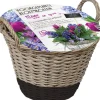 Florex Korb mit 50 Blumenzwiebeln (vorgepflanzt) schwarz