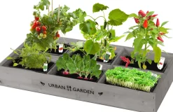 Florex Urban Garden Gemüsebox Anzucht-Set