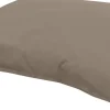 Hundekissen Outdoor taupe 100 x 70 x 10 cm