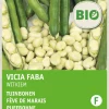 Intratuin Ackerbohne (Vicia faba 'Weißkeimling') (BIO) Samen