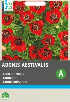 Intratuin Adonisröschen rot (Adonis aestivalis) Blumensamen