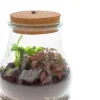 Intratuin Arrangement Terrarium mit LED-Korken D 15 H 19 cm