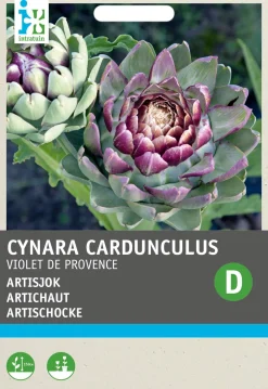 Intratuin Artischocke (Cynara cardunculus 'Violette de Provence') Samen