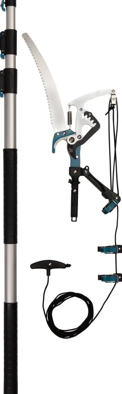 Intratuin Astschere mit Teleskopstange