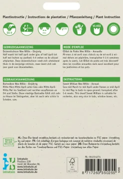 Intratuin Bartnelke (Dianthus barbatus 'Wee Willie') Blumensamen