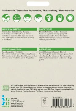 Intratuin Bartnelke (Dianthus chinensis) Blumensamen-Mischung