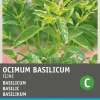 Intratuin Basilikum feinblättrig (Ocimum basilicum) Samen