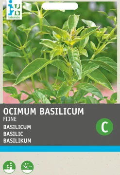 Intratuin Basilikum feinblättrig (Ocimum basilicum) Samen