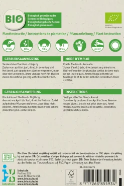 Intratuin Bischofskraut (Ammi visnaga 'Green Mist') (BIO) Samen