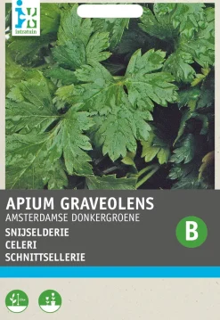 Intratuin Blattsellerie (Apium graveolens) Samen