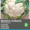 Intratuin Blumenkohl (Brassica oleracea 'Herbstriesen') Samen