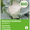 Intratuin Blumenkohl (Brassica oleracea Goodman) (BIO) Samen