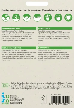 Intratuin Blumensamen-Mischung Sommerblumen rosa-rot