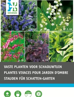 Intratuin Blumenzwiebel-Mischung Schattenstauden 10 St.