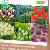 Intratuin Blumenzwiebeln für Bienen und Schmetterlinge (BIO) gemischt 33 St.