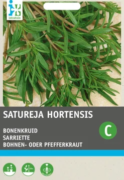Intratuin Bohnenkraut einjährig (Satureja hortensis) Samen