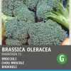 Intratuin Brokkoli (Brassica oleracea 'Premium Crop') Samen
