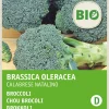 Intratuin Brokkoli (Brassica oleracea 'Calabrese Natalino') (BIO) Samen