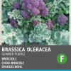 Intratuin Brokkoli (Brassica italicum 'Summer Purple') Samen
