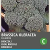 Intratuin Brokkoli (Brassica oleracea 'Calabria') Samen
