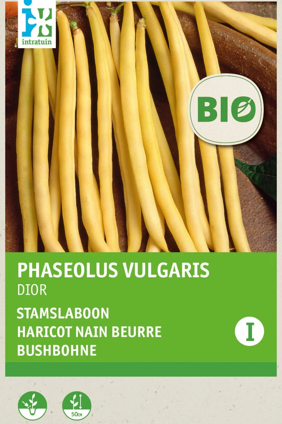 Intratuin Buschbohne gelb (Phaseolus vulgaris 'Dior') (BIO) Samen