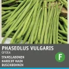 Intratuin Buschbohne (Phaseolus vulgaris 'Opera gourmet') Samen