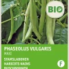 Intratuin Buschbohne (Phaseolus vulgaris 'Maxi') (BIO) Samen