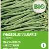 Intratuin Buschbohne (Phaseolus vulgaris 'Compass') (BIO) Samen